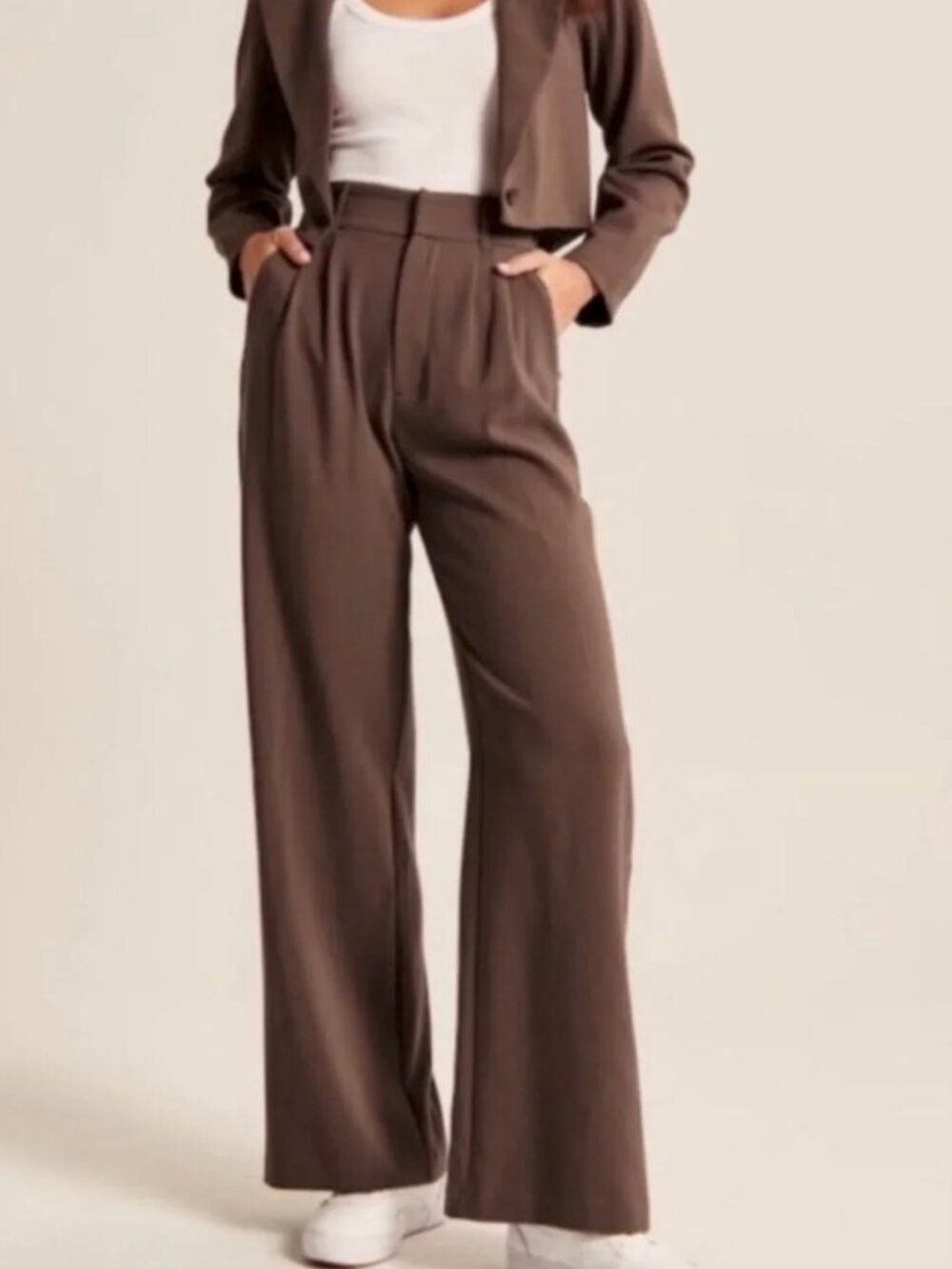 Abercrombie & Fitch Sloane Tailored Wide Leg Pleated Pants Curve Love in Brown